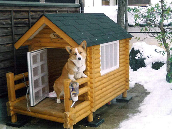 寵物木屋價格